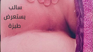سالب ممحون استعراض من الجزائر