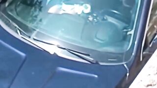سكس مسرب عراقي مع الطالبة